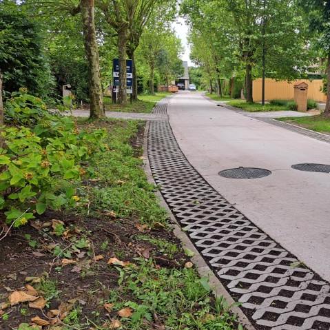 Een foto van het Spechtenpark na de heraanleg